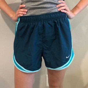 Nike Dri-fit Blue Athletic Shorts